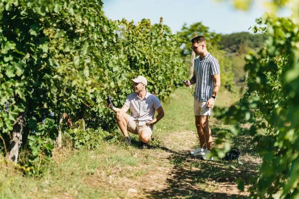 Chianti Wine Tour