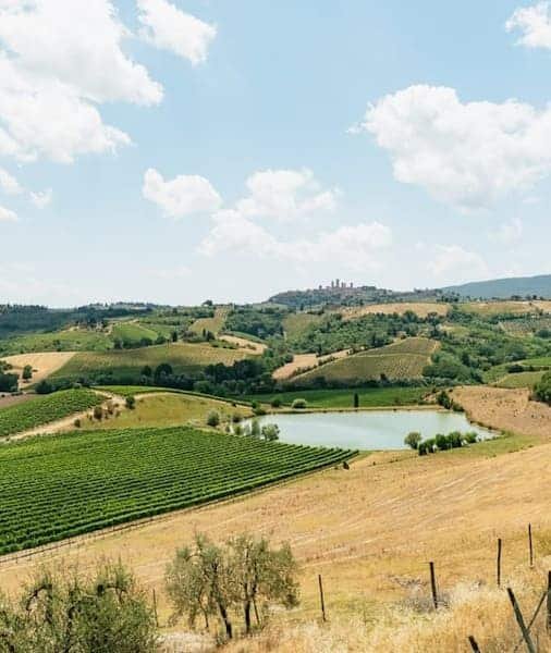 2023년 최고의 토스카나 음식 투어